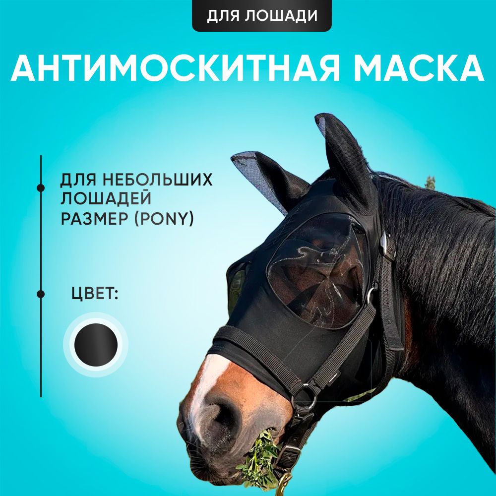 Антимоскитная маска для небольших лошадей (размер Pony). Маска от мух для  лошадей. - купить с доставкой по выгодным ценам в интернет-магазине OZON  (958467859)