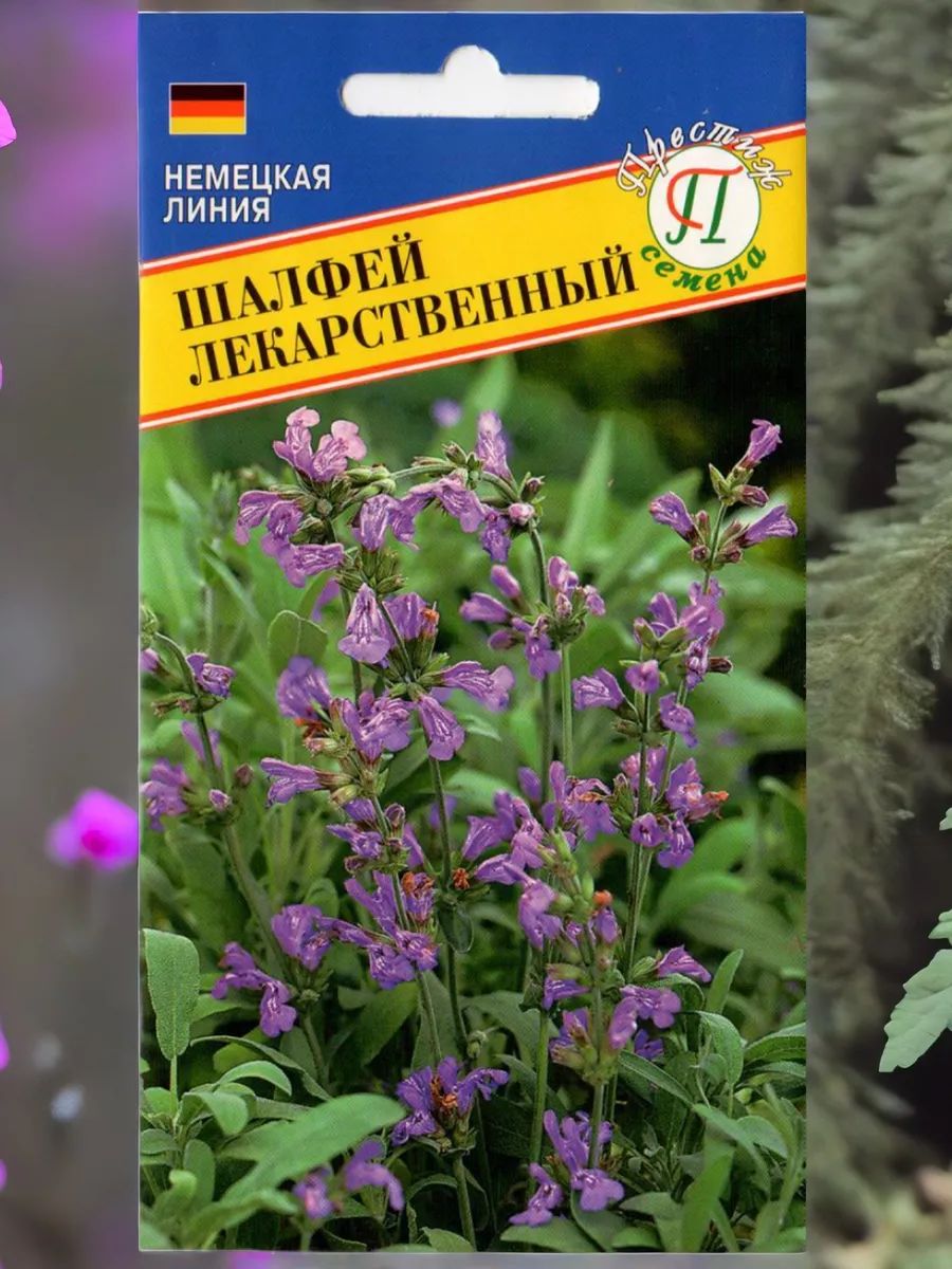 Шалфей Семенами Цена