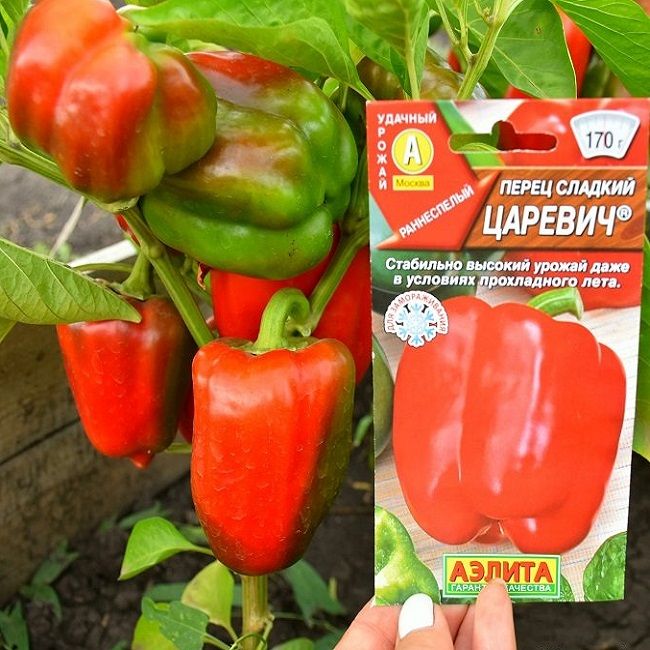 Перец цесаревич описание сорта. Перец цесаревич описание сорта