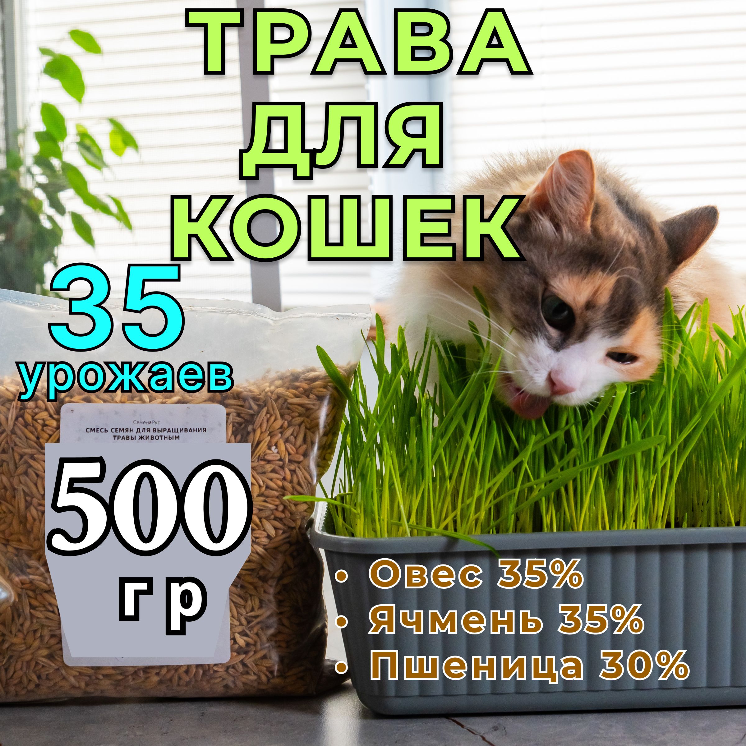 Трава для кошек для...