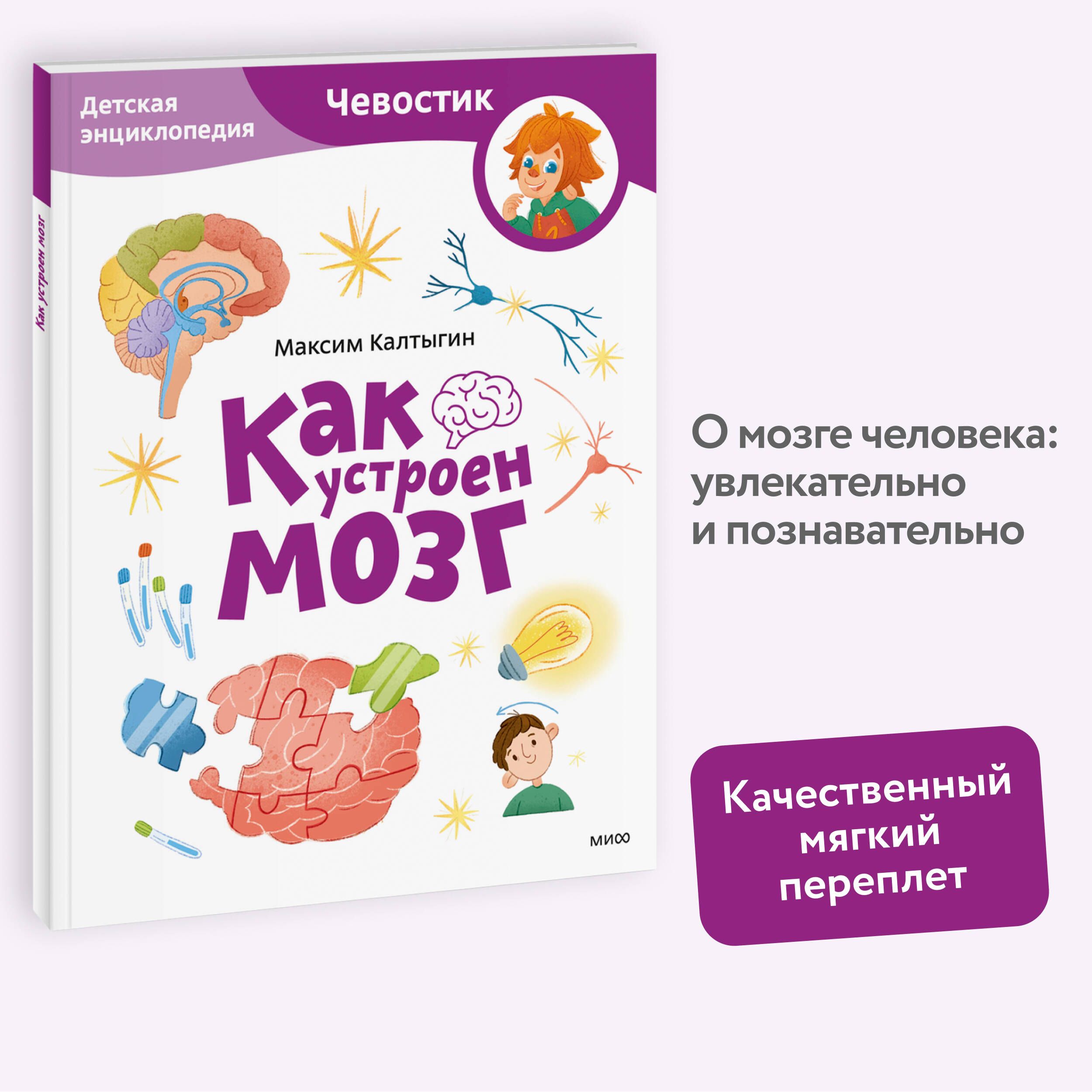 Как устроен мозг. Детская энциклопедия (Чевостик) (Paperback) | Калтыгин Максим Владимирович