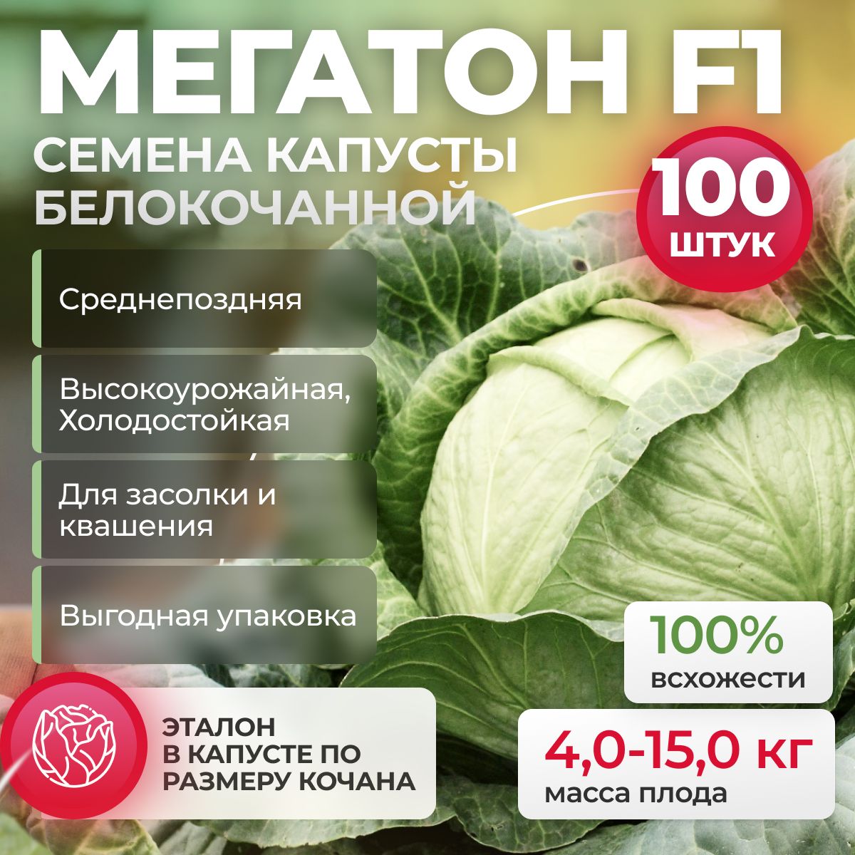 Мегатон F1 семена капусты белокочанной, 100 шт (Bejo / ALEXAGRO). Высокоурожайный, среднепоздний гибрид для открытого грунта