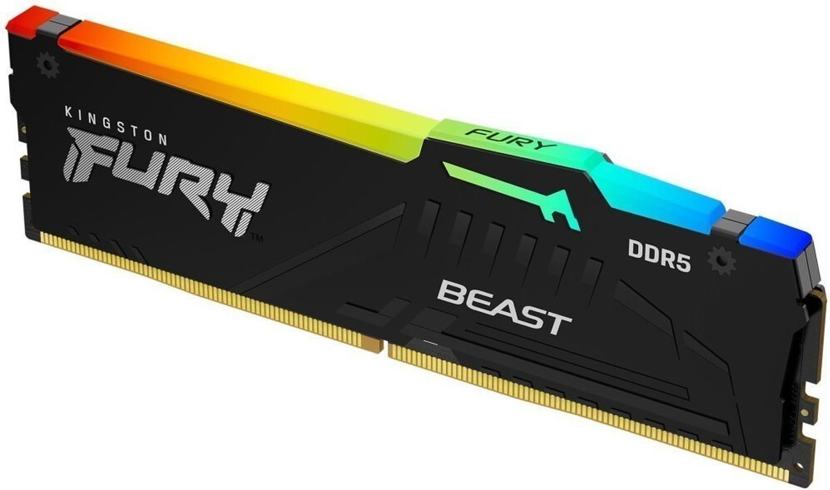 Kingston Fury Оперативная память Fury Beast RGB EXPO DDR5 5600 МГц 1x8 ГБ (KF556C36BBEA-8)