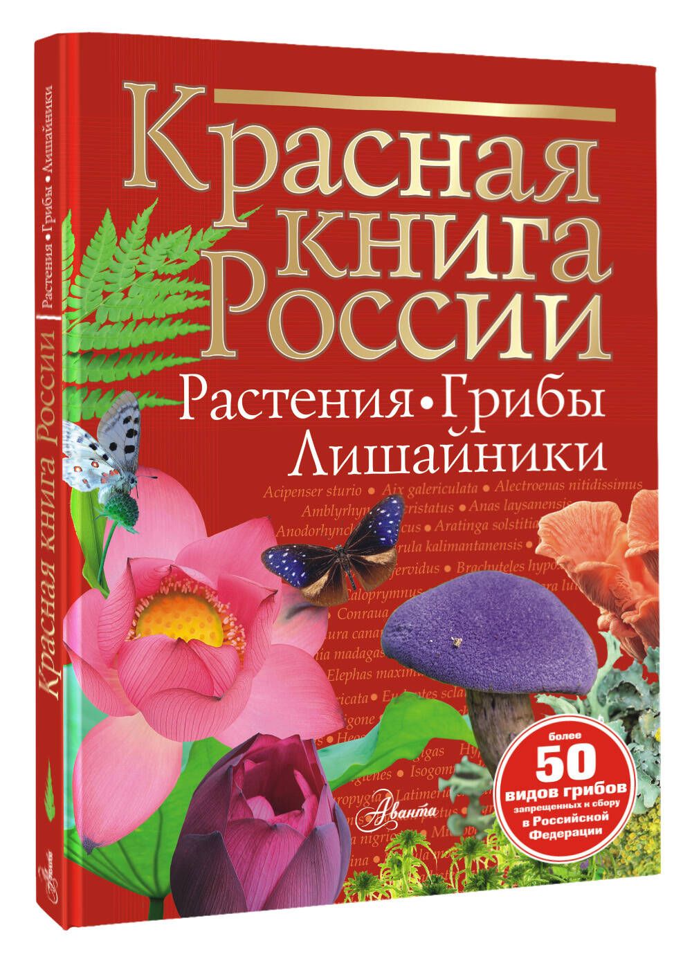 Красная книга России. Растения Грибы Лишайники | Пескова Ирина Михайловна