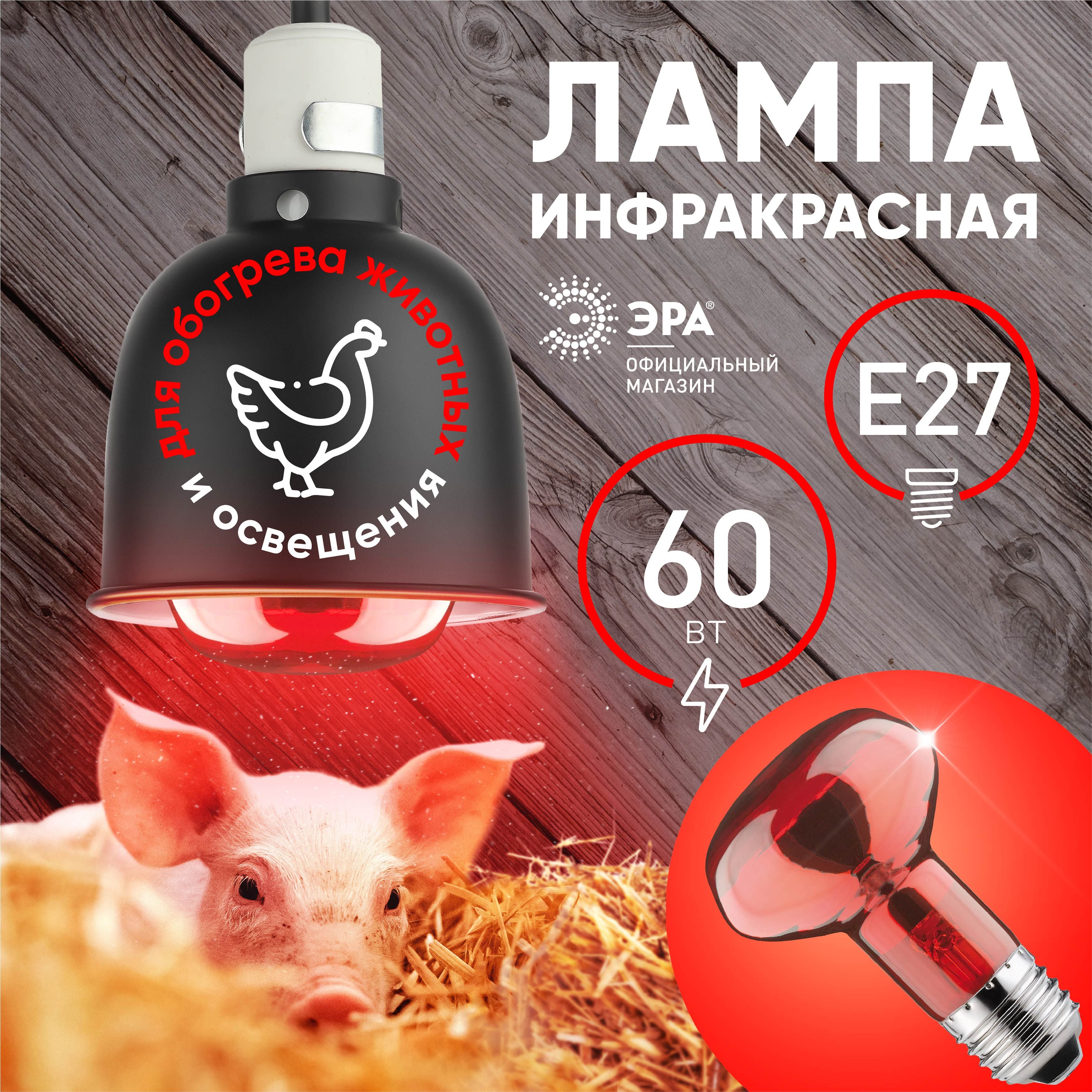 Лампочка ИКЗК 230-60 R63 Е27 ЭРА / Инфракрасная лампа для курятника, для обогрева, для растений, для птиц, для животных, для цыплят, 60 Вт