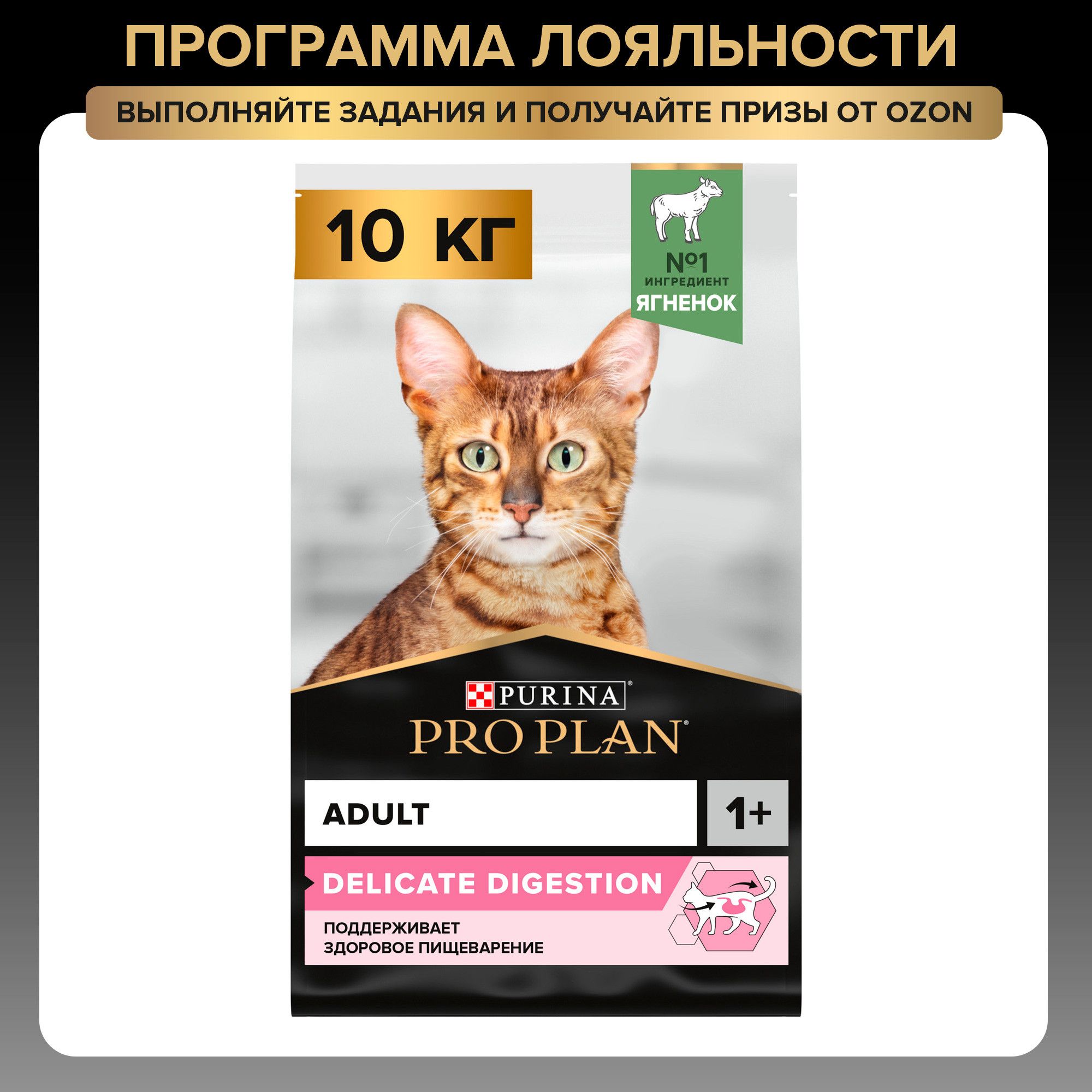 Сухой корм PRO PLAN Delicate Digestion для взрослых кошек с чувствительным пищеварением, с ягненком, 10 кг