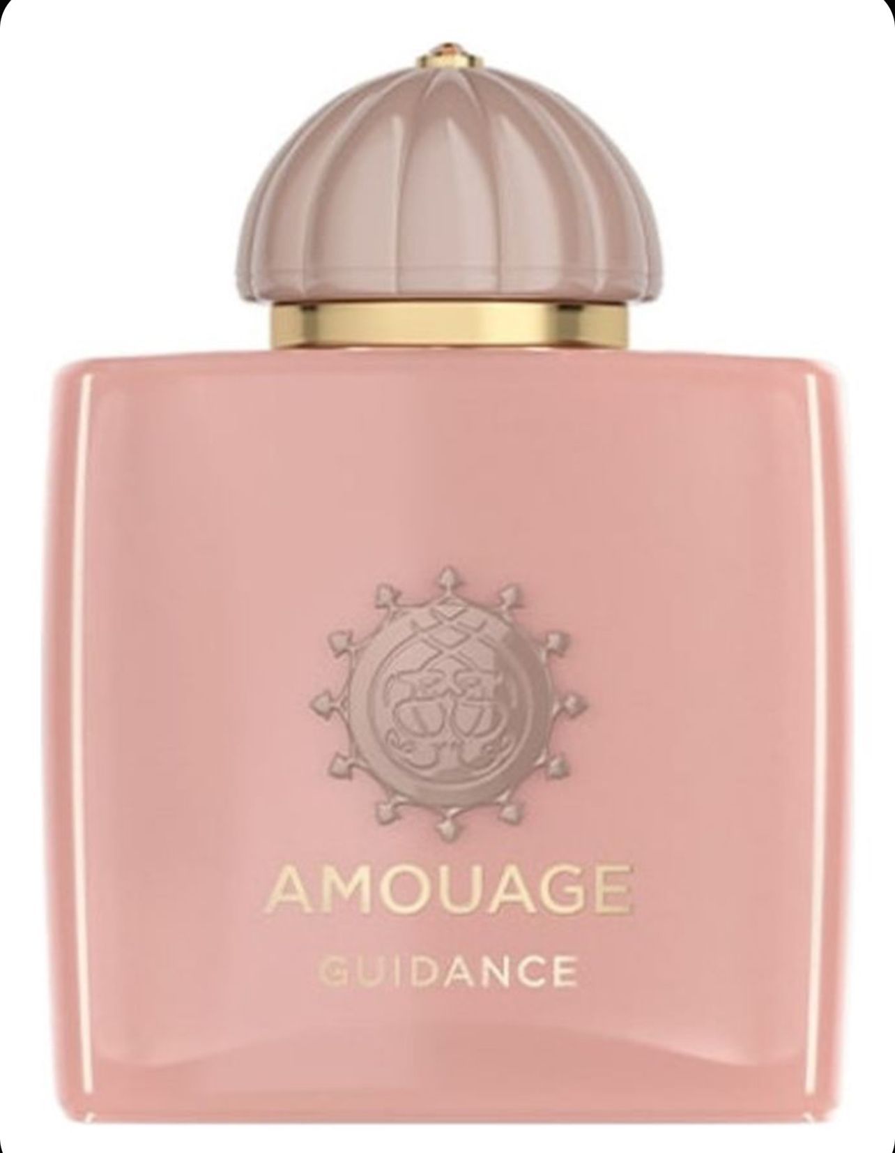 AmouageGuidanceПарфюмернаяводаунисекс100ml