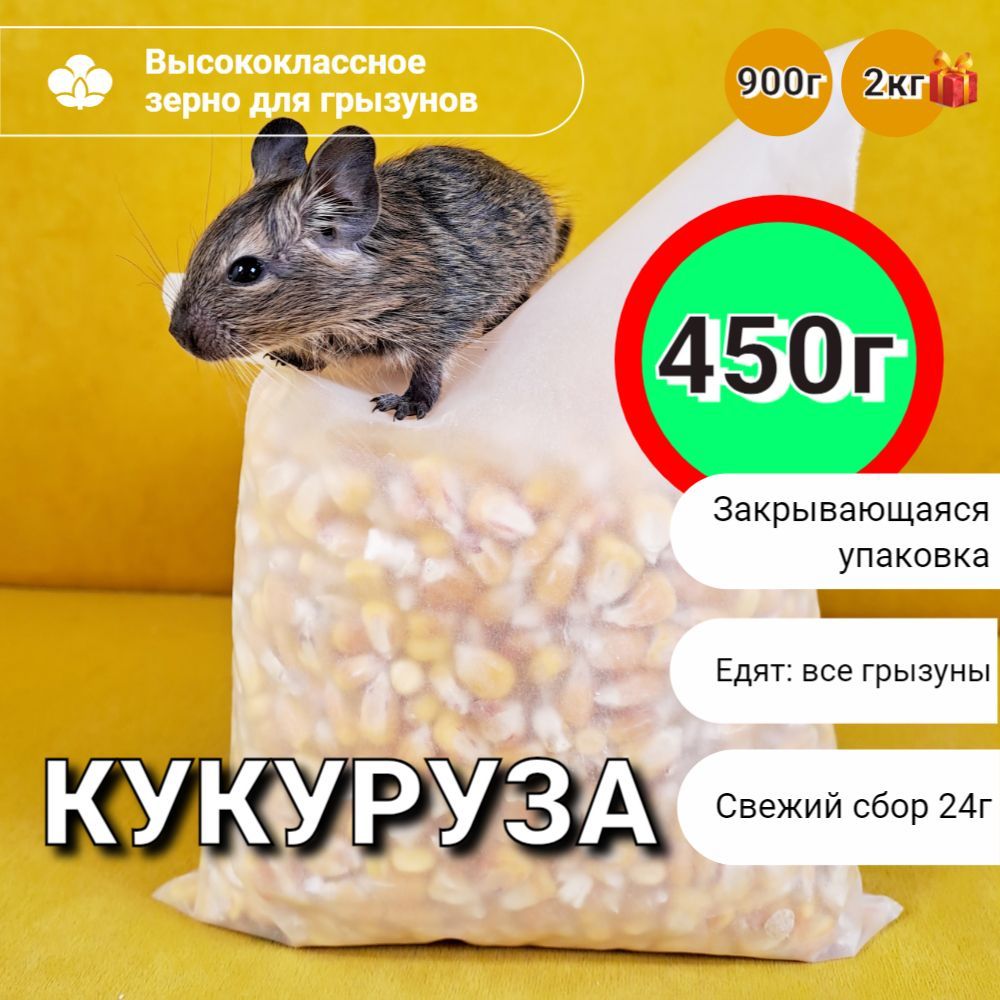 Кукуруза корм для хомяков и других грызунов