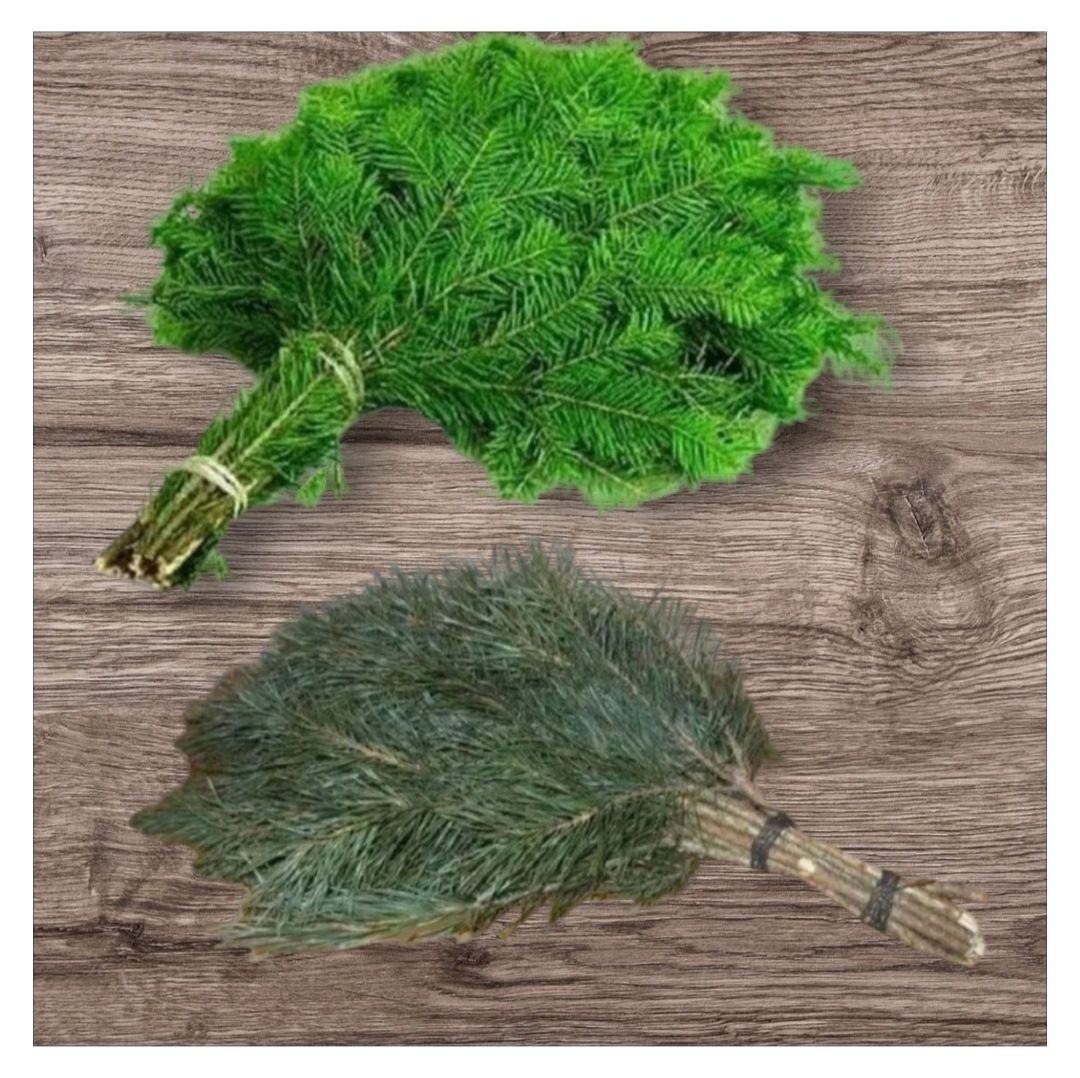 Еловые веники для бани