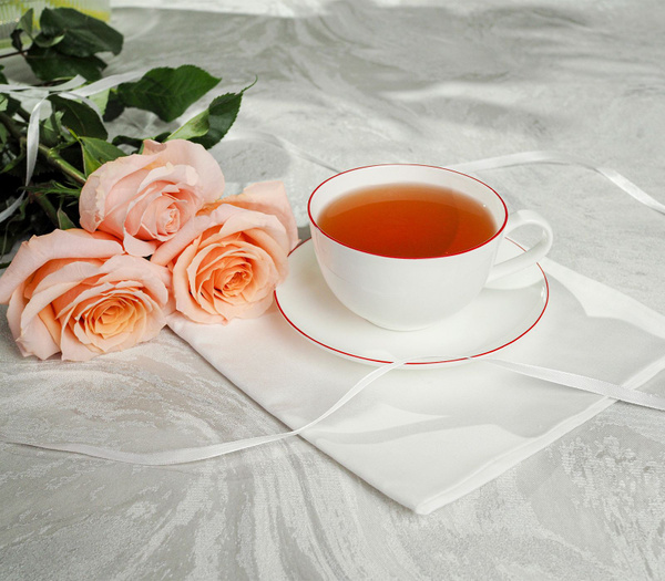 Чайная пара STENOVA HOME "фарфор New Bone China", на 1 перс. купить c ...