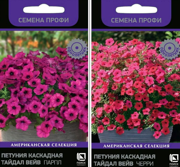 Петунии ПОИСК Агрохолдинг Н-Р ТАЙДАЛ ПОИСК - купить по выгодным ценам в ...