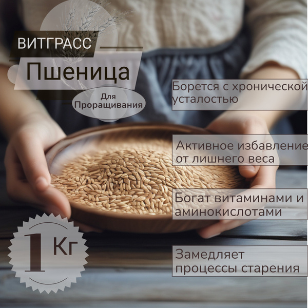 Пшеница для проращивания, витграсс, ростки пшеницы, микрозелень, 1 кг ...