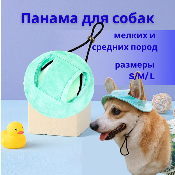 Кепка для собак и кошек - купить с доставкой по выгодным ценам в ...