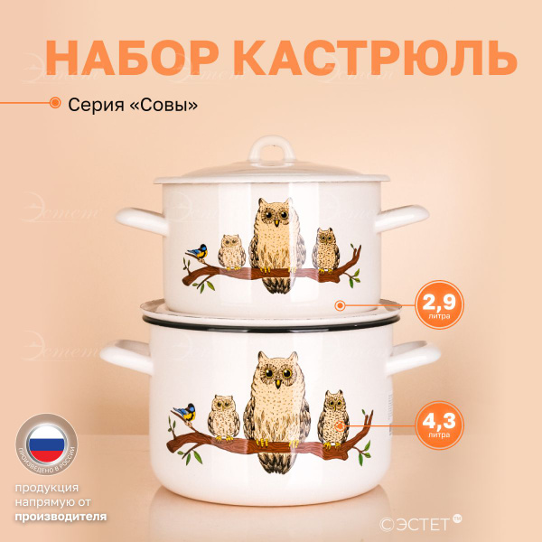 Набор кастрюль с крышкой "ЭСТЕТ" эмалированные 2.9 и 4.3 литра ...