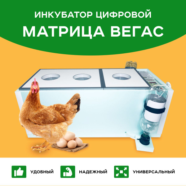Инкубатор Блиц Матрица Вегас цифровой 90 яиц - купить с доставкой по ...