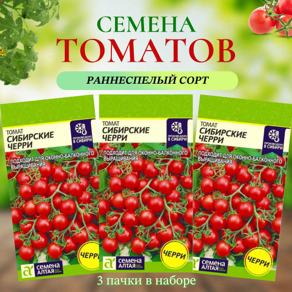 Томаты Семена Алтая S4 - купить по выгодным ценам в интернет-магазине ...