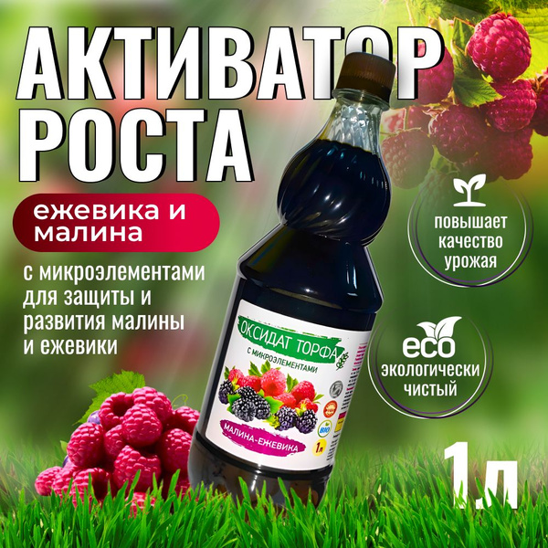 Удобрение для малины, удобрение для ежевики 1л / стимулятор роста ...