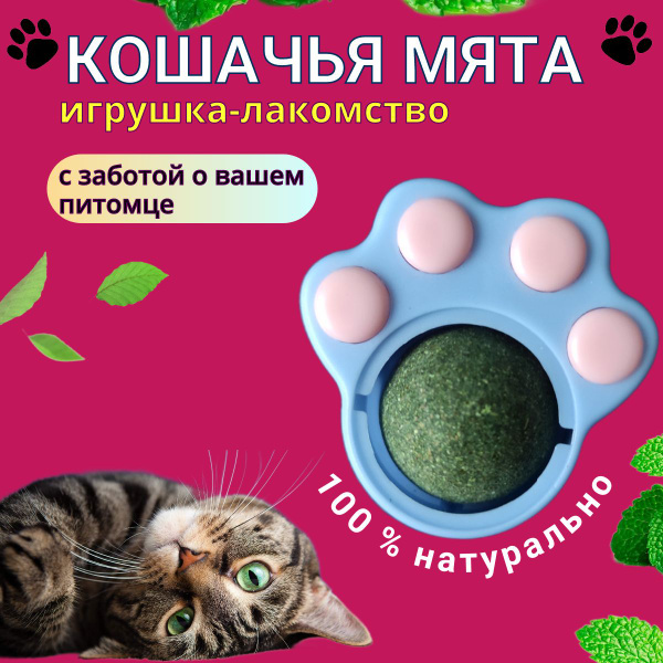 Кошачья мята, игрушка-лакомство для котов и кошек,дразнилка - купить с ...
