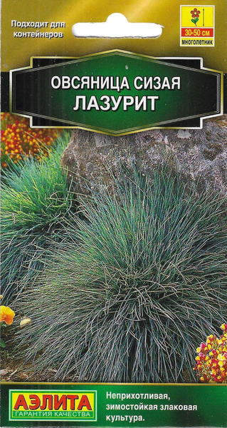 Овсяница Аэлита Овсяница сизая Лазурит_1 - купить по выгодным ценам в ...