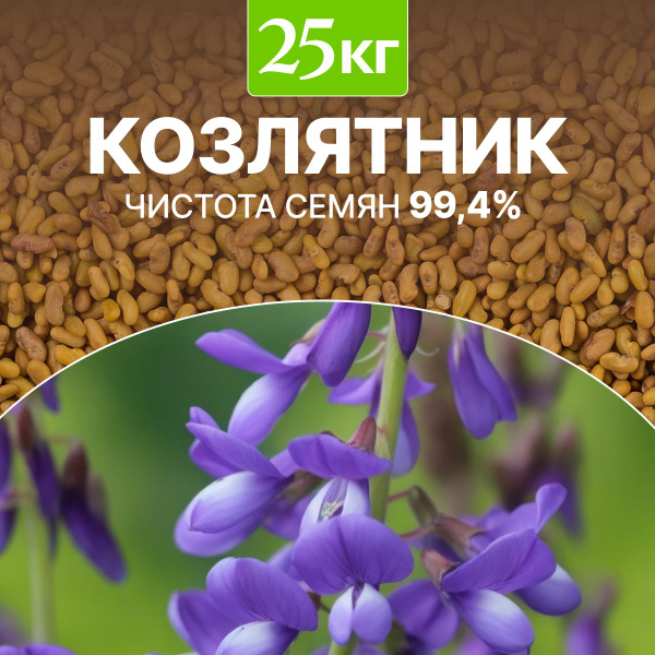 Многолетние декоративные травы MEGAMARKET Сидераты - купить по выгодным ...