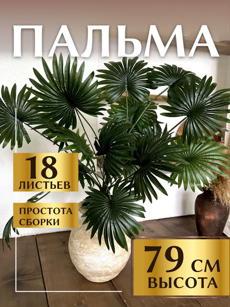 Искусственные растения MintOnly пальма искусственная Вашингтония 79 см ...