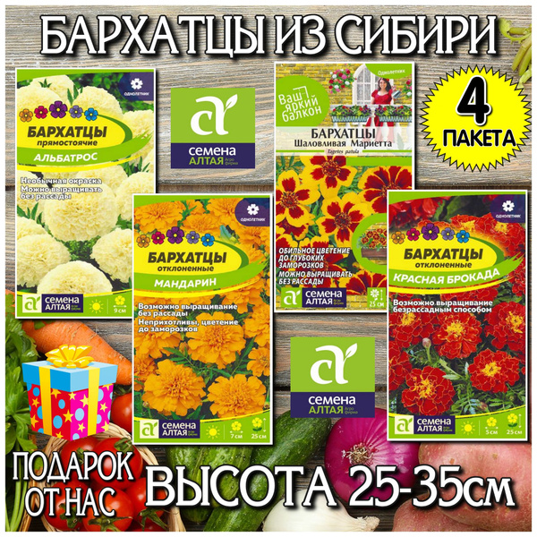 Бархатцы Семена Алтая цветы - купить по выгодным ценам в интернет ...