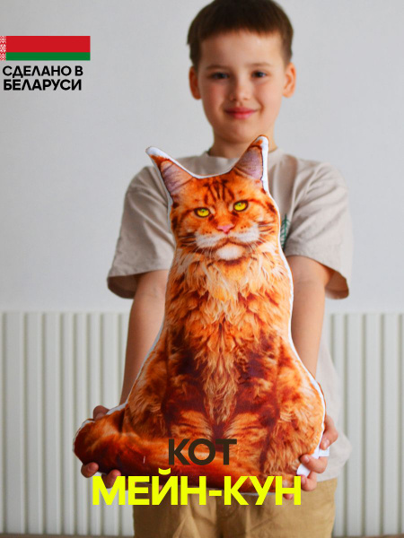 Мягкая игрушка подушка Кот Мейн-кун - купить с доставкой по выгодным ...