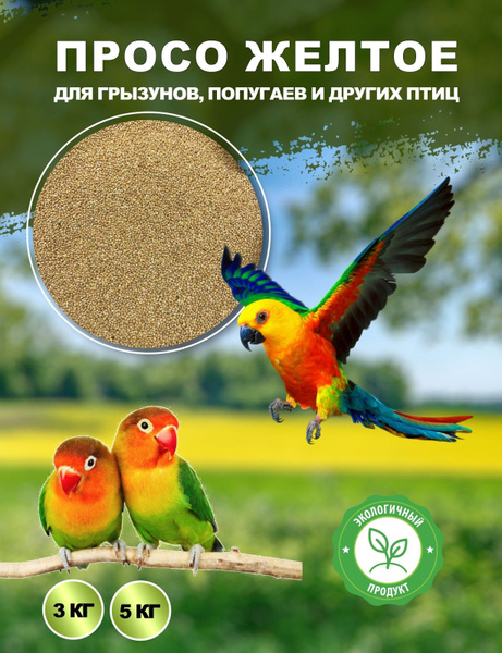 Просо желтое для грызунов, попугаев и других птиц, 5 кг - купить с ...
