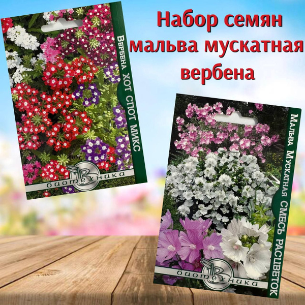 Вербены, Мальвы Биотехника Семена цветов для дома и сада Вербена и ...