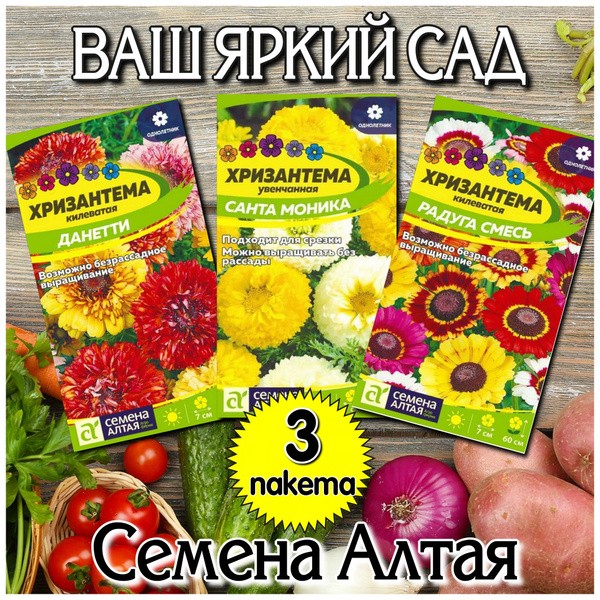 Хризантема килеватая, Хризантемы однолетние Семена Алтая цветы - купить ...