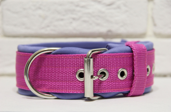 Широкий ошейник для собак крупных и средних пород с мягкой подкладкой и ...