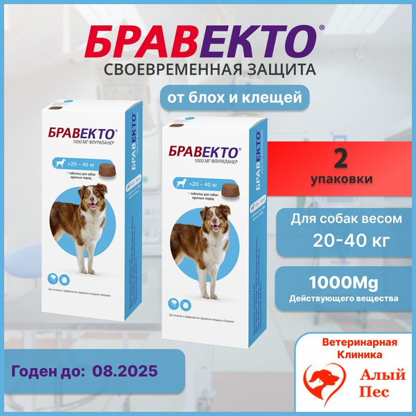 БРАВЕКТО таблетки для собак от 20 до 40 кг 2 Упаковки - купить с ...