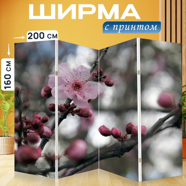 Характеристики Ширма "Сакура, вишни в цвету, японская вишня деревья ...
