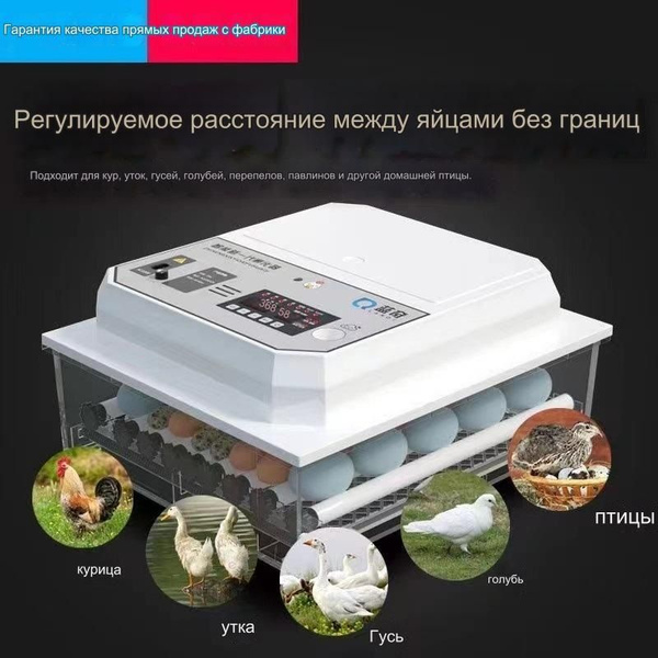 Инкубатор несушка на 48 яйца, инкубатор с автоматическим переворотом ...