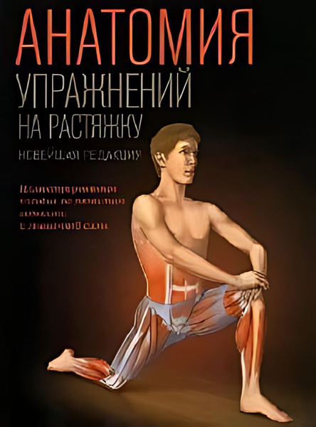 Характеристики Анатомия упражнений на растяжку подробное описание ...