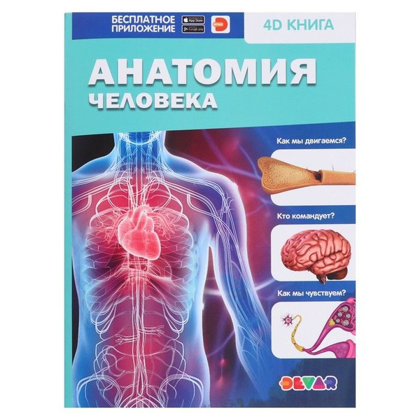 Энциклопедия Devar kids 4D в дополненной реальности. Анатомия человека ...