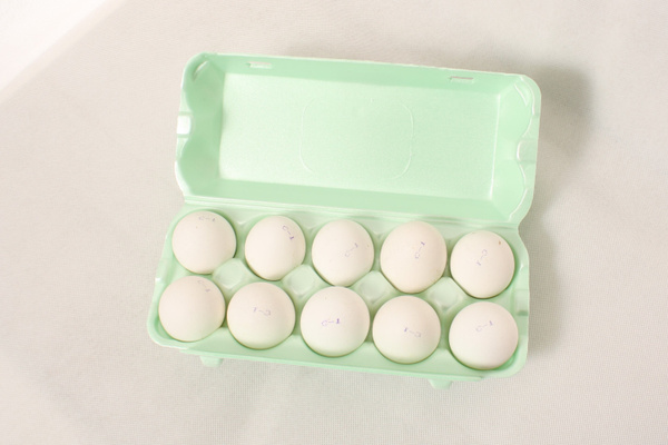 Яйцо куриное белое С1, 10 шт - купить с доставкой по выгодным ценам в ...