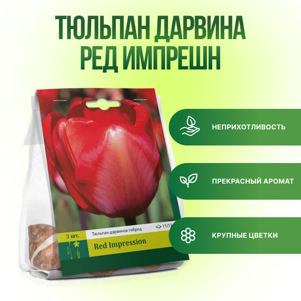Луковицы Тюльпан ПЕТРОФЛОРА купить по выгодной цене в интернет-магазине ...