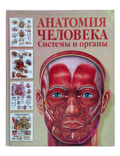 Анатомия человека: Системы и органы. Лучшие в мире анатомические ...