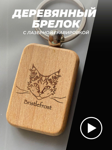 Брелок Коты Воители купить на OZON по низкой цене (1644112599)