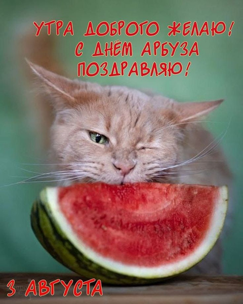Купить Нож-вилка для нарезки арбуза кубиками. С двумя лезвиями 2в1 Для ...
