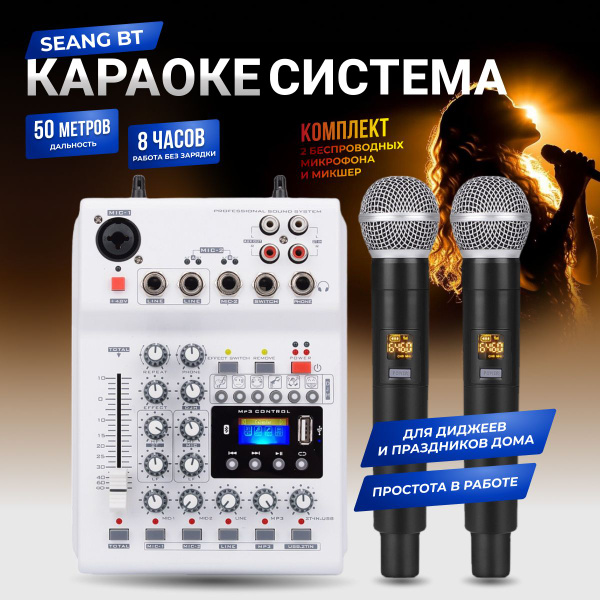 Караоке-система SEANG BT с беспроводными микрофонами, микшером купить ...