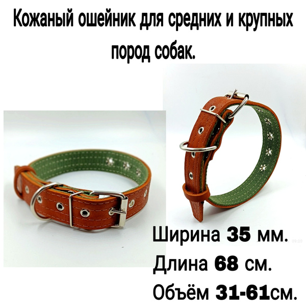 Кожаный ошейник для средних и крупных пород собак. - купить с доставкой ...