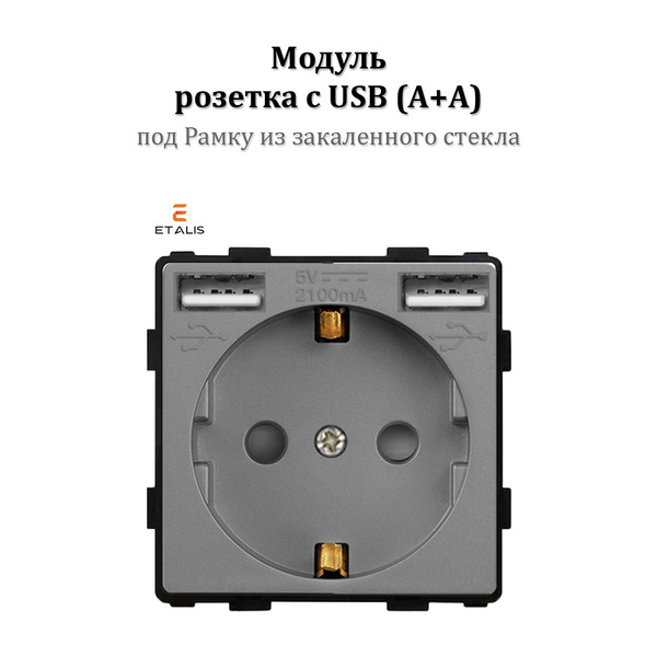 Розетка (модуль без рамки) электрическая с 2 USB (Type A+Type A) с ...