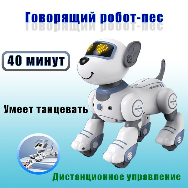 Говорящий робот-пес - купить с доставкой по выгодным ценам в интернет ...