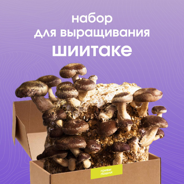 Набор для выращивания Грибы пошли, Экзотические грибы, Многолетник ...