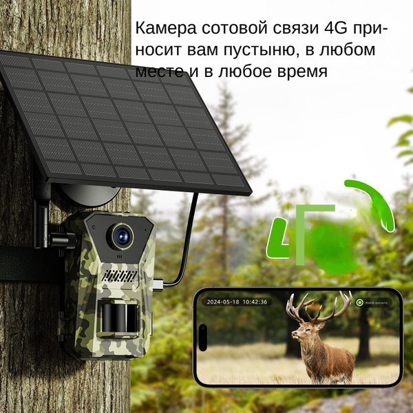Фотоловушка - купить с доставкой по выгодным ценам в интернет-магазине ...