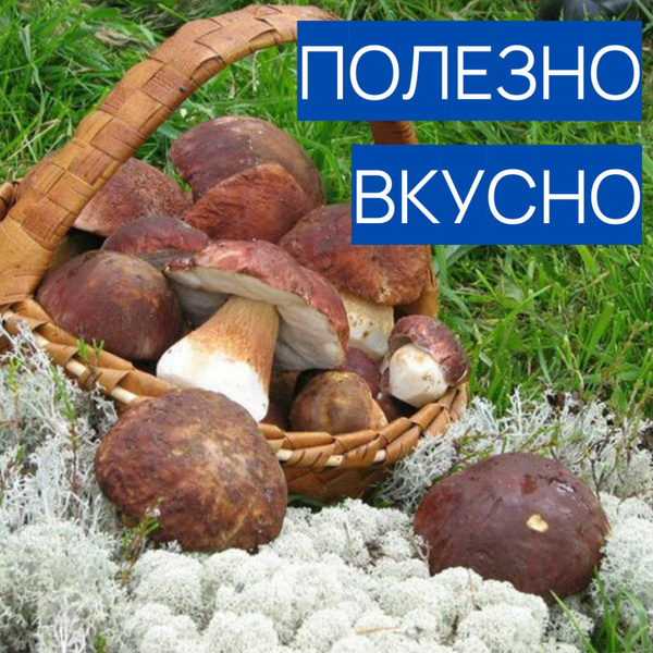 Грибы сушеные Белые 50г. 1шт. купить на OZON по низкой цене (817212721)