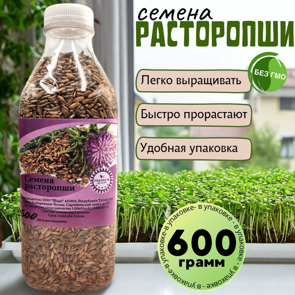 Семена расторопши для проращивания, пищевые 600гр купить на OZON по ...