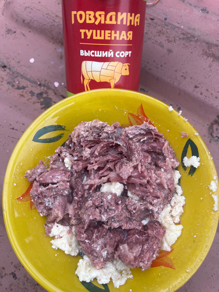 Тушёная говядина кусковая г. Бийск 338 грамм ГОСТ 10шт купить на OZON ...